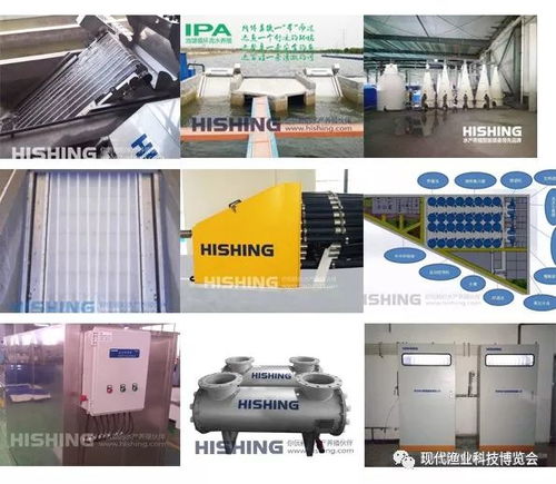 智能科技引领渔业新篇章 无人艇、增氧机、循环水与自动喂料设备亮相现代渔业科技博览会