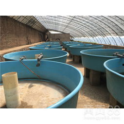 鸿硕玻璃钢养殖孵化池 高效渔业孵化的现代化解决方案