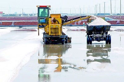 昔日盐碱滩，今日聚宝盆 渔业机械化绘就生态富民新图景